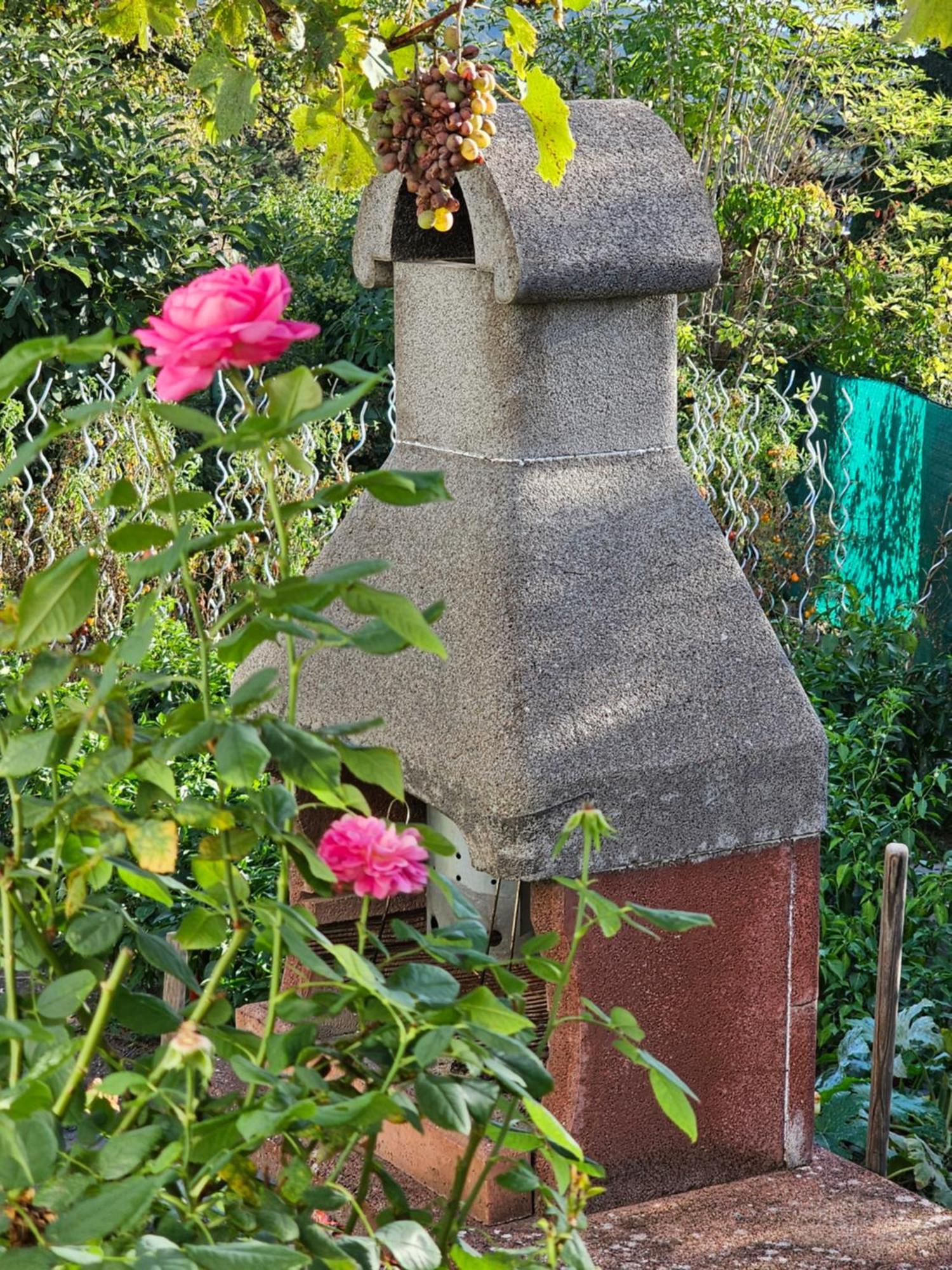 维也纳Erhol 'Dich Am Berg公寓 外观 照片